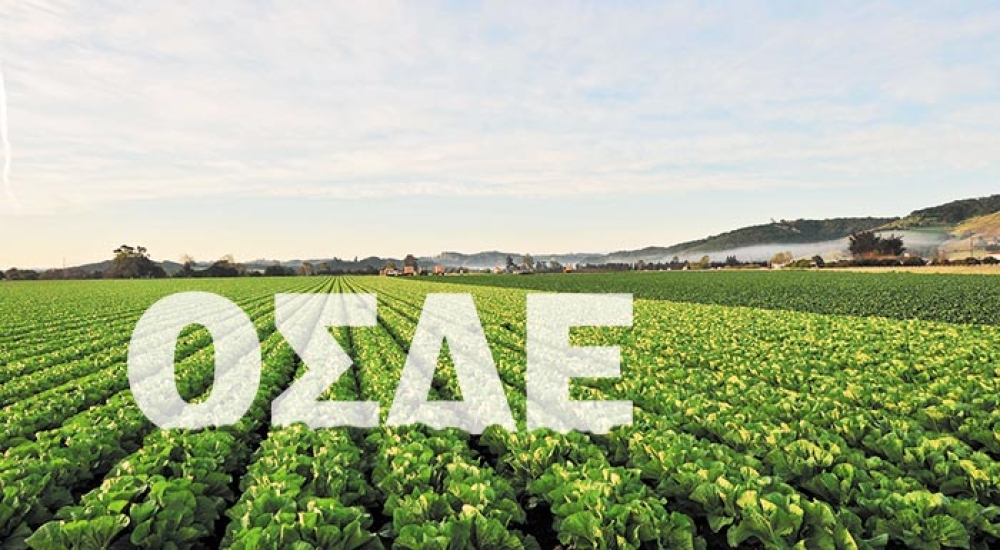 &Pi;&alpha;&rho;ά&tau;&alpha;&sigma;&eta; &sigma;&tau;&iota;&sigmaf; &delta;&eta;&lambda;ώ&sigma;&epsilon;&iota;&sigmaf; &Omicron;&Sigma;&Delta;&Epsilon; &lambda;ό&gamma;&omega; &kappa;&alpha;&theta;&upsilon;&sigma;&tau;&epsilon;&rho;ή&sigma;&epsilon;&omega;&nu; &kappa;&alpha;&iota; &tau;&epsilon;&chi;&nu;&iota;&kappa;ώ&nu; &delta;&upsilon;&sigma;&kappa;&omicron;&lambda;&iota;ώ&nu;