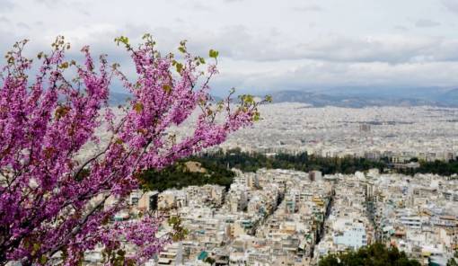 &Sigma;&tau;&epsilon;&gamma;&alpha;&sigma;&tau;&iota;&kappa;ό: &Sigma;&epsilon;&nu;ά&rho;&iota;&alpha; &gamma;&iota;&alpha; &pi;&alpha;&rho;ά&tau;&alpha;&sigma;&eta; &alpha;&phi;&omicron;&rho;&omicron;&lambda;ό&gamma;&eta;&tau;&omicron;&upsilon; &sigma;&epsilon; &epsilon;&iota;&sigma;&omicron;&delta;ή&mu;&alpha;&tau;&alpha; &alpha;&pi;ό &epsilon;&nu;&omicron;ί&kappa;&iota;&alpha;