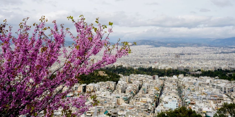 &Sigma;&tau;&epsilon;&gamma;&alpha;&sigma;&tau;&iota;&kappa;ό: &Sigma;&epsilon;&nu;ά&rho;&iota;&alpha; &gamma;&iota;&alpha; &pi;&alpha;&rho;ά&tau;&alpha;&sigma;&eta; &alpha;&phi;&omicron;&rho;&omicron;&lambda;ό&gamma;&eta;&tau;&omicron;&upsilon; &sigma;&epsilon; &epsilon;&iota;&sigma;&omicron;&delta;ή&mu;&alpha;&tau;&alpha; &alpha;&pi;ό &epsilon;&nu;&omicron;ί&kappa;&iota;&alpha;