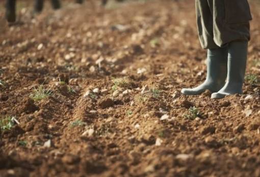 Η ΕΕ στηρίζει τους αγρότες ενόψει Mercosur: Πακέτο μέτρων και προστασίας των ελληνικών προϊόντων