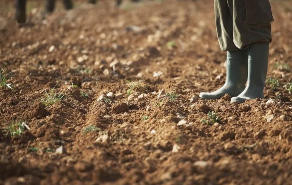 &Eta; &Epsilon;&Epsilon; &sigma;&tau;&eta;&rho;ί&zeta;&epsilon;&iota; &tau;&omicron;&upsilon;&sigmaf; &alpha;&gamma;&rho;ό&tau;&epsilon;&sigmaf; &epsilon;&nu;ό&psi;&epsilon;&iota; Mercosur: &Pi;&alpha;&kappa;έ&tau;&omicron; &mu;έ&tau;&rho;&omega;&nu; &kappa;&alpha;&iota; &pi;&rho;&omicron;&sigma;&tau;&alpha;&sigma;ί&alpha;&sigmaf; &tau;&omega;&nu; &epsilon;&lambda;&lambda;&eta;&nu;&iota;&kappa;ώ&nu; &pi;&rho;&omicron;ϊό&nu;&tau;&omega;&nu;