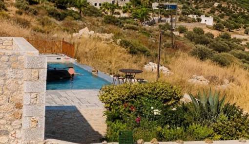 &Alpha;&upsilon;&tau;&omicron;&kappa;ί&nu;&eta;&tau;&omicron; &laquo;&beta;&omicron;ύ&tau;&eta;&xi;&epsilon;&raquo; &sigma;&epsilon; &pi;&iota;&sigma;ί&nu;&alpha; &xi;&epsilon;&nu;&omicron;&delta;&omicron;&chi;&epsilon;ί&omicron;&upsilon; &sigma;&tau;&eta; &Mu;ά&nu;&eta;