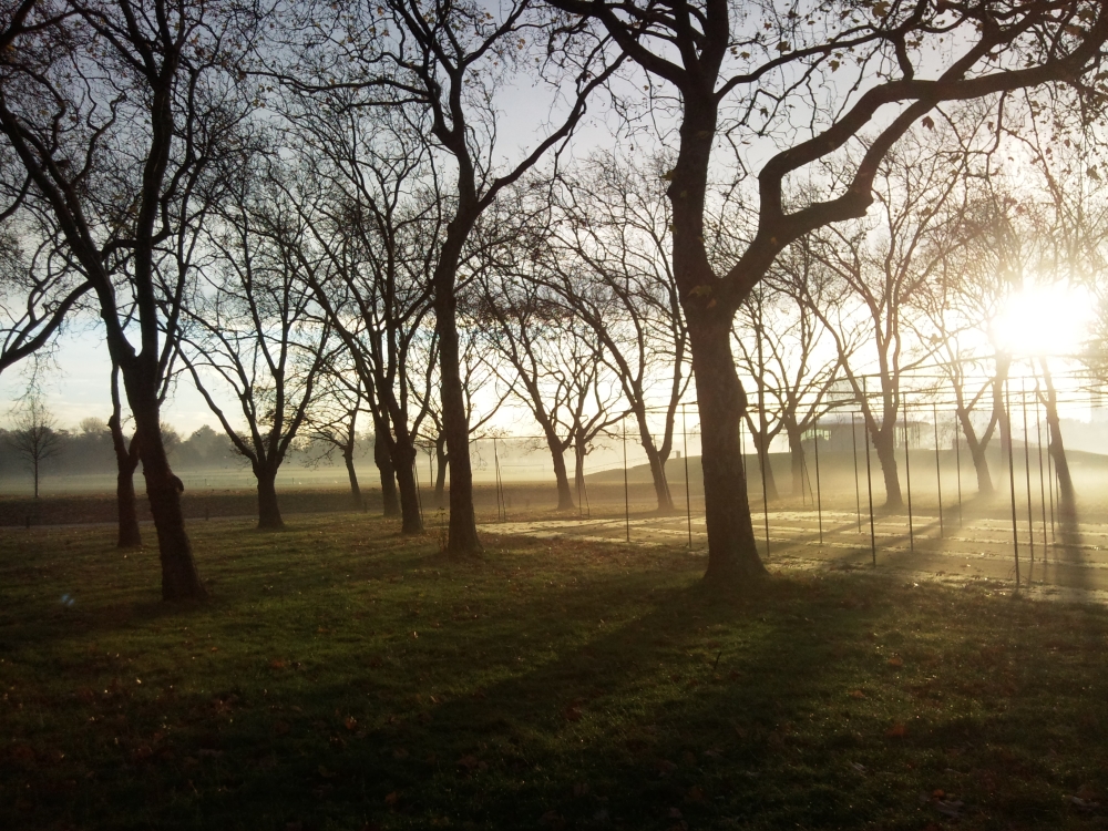 &Tau;&omicron; DNA &tau;&omicron;&upsilon; &Nu;&epsilon;ά&nu;&tau;&epsilon;&rho;&tau;&alpha;&lambda; ί&sigma;&omega;&sigmaf; &epsilon;&xi;&eta;&gamma;&epsilon;ί &gamma;&iota;&alpha;&tau;ί &omicron;&rho;&iota;&sigma;&mu;έ&nu;&omicron;&iota; ά&nu;&theta;&rho;&omega;&pi;&omicron;&iota; &epsilon;ί&nu;&alpha;&iota; &pi;&rho;&omega;&iota;&nu;&omicron;ί &tau;ύ&pi;&omicron;&iota;