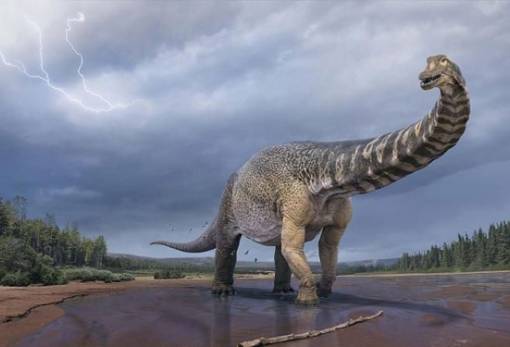 Αυστραλοτιτάν: Ο δεινόσαυρος που είχε μήκος όσο ένα γήπεδο μπάσκετ