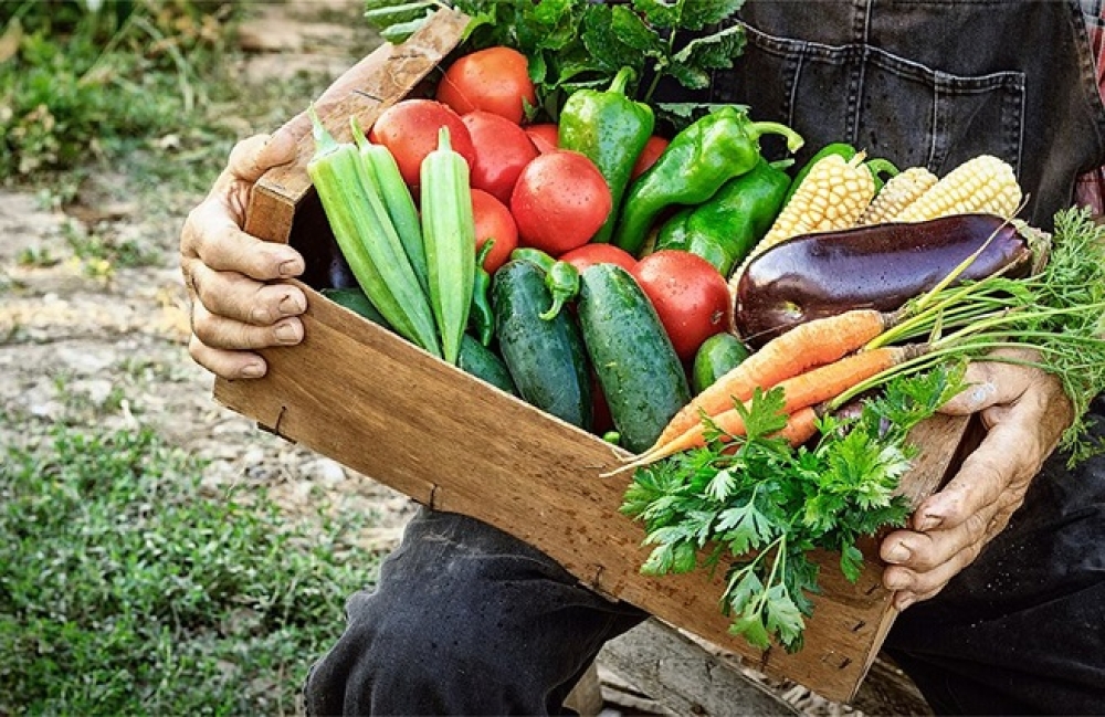 &Alpha;&gamma;&rho;ό&tau;&epsilon;&sigmaf;: &Omicron;&iota; &kappa;&alpha;&tau;&alpha;&nu;&alpha;&lambda;&omega;&tau;έ&sigmaf; &theta;&alpha; &pi;&lambda;&eta;&rho;ώ&nu;&omicron;&upsilon;&nu; έ&omega;&sigmaf; &kappa;&alpha;&iota; 30% &alpha;&kappa;&rho;&iota;&beta;ό&tau;&epsilon;&rho;&alpha; &tau;&alpha; &alpha;&gamma;&rho;&omicron;&tau;&iota;&kappa;ά &pi;&rho;&omicron;ϊό&nu;&tau;&alpha;
