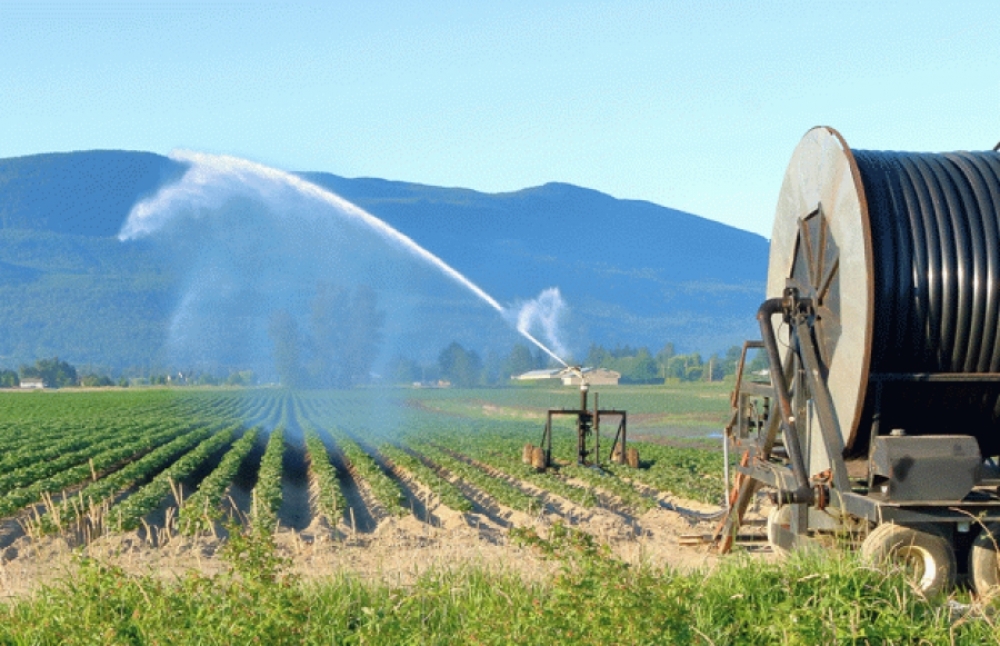 &Alpha;&gamma;&rho;&omicron;&tau;&iota;&kappa;ό &rho;&epsilon;ύ&mu;&alpha;: &Delta;&eta;&mu;&omicron;&sigma;&iota;&epsilon;ύ&theta;&eta;&kappa;&epsilon; &eta; &tau;&rho;&omicron;&pi;&omicron;&lambda;&omicron;&gamma;ί&alpha;