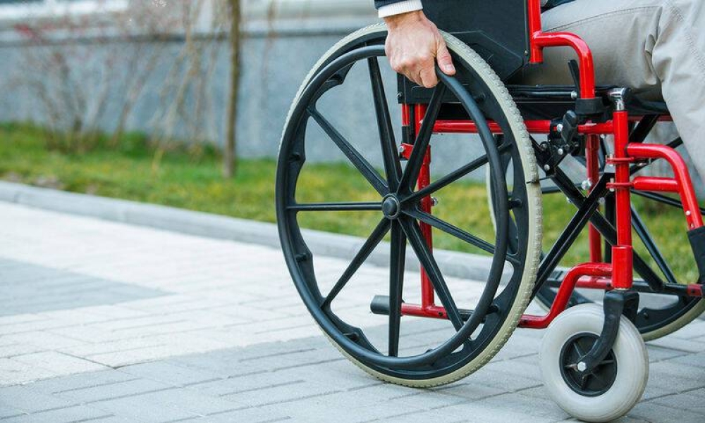 &Sigma;&tau;έ&gamma;&epsilon;&sigmaf; &alpha;&xi;&iota;&omicron;&pi;&rho;&epsilon;&pi;&omicron;ύ&sigmaf; &zeta;&omega;ή&sigmaf; &gamma;&iota;&alpha; &Alpha;&mu;&epsilon;&Alpha; &sigma;&tau;&eta;&nu; &Pi;&epsilon;&lambda;&omicron;&pi;ό&nu;&nu;&eta;&sigma;&omicron;