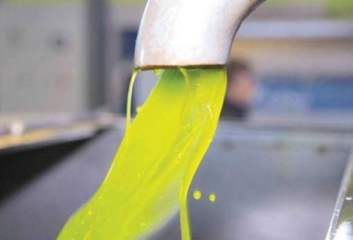 «Σκαρφάλωσε» πάνω από 6 ευρώ το ελαιόλαδο στη Λακωνία