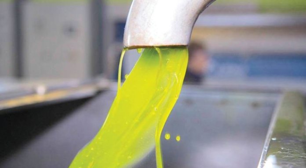 &laquo;&Sigma;&kappa;&alpha;&rho;&phi;ά&lambda;&omega;&sigma;&epsilon;&raquo; &pi;ά&nu;&omega; &alpha;&pi;ό 6 &epsilon;&upsilon;&rho;ώ &tau;&omicron; &epsilon;&lambda;&alpha;&iota;ό&lambda;&alpha;&delta;&omicron; &sigma;&tau;&eta; &Lambda;&alpha;&kappa;&omega;&nu;ί&alpha;