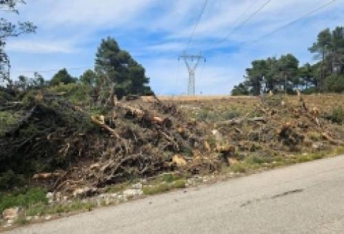 Ακαθάριστα οικόπεδα: Από 1η Απριλίου ο υποχρεωτικός καθαρισμός