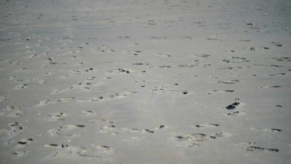 &Alpha;&rho;&chi;&alpha;&iota;&omicron;&lambda;ό&gamma;&omicron;&iota; &epsilon;&nu;&tau;ό&pi;&iota;&sigma;&alpha;&nu; &pi;&alpha;&tau;&eta;&mu;&alpha;&sigma;&iota;έ&sigmaf; 115.000 &epsilon;&tau;ώ&nu;... &epsilon;&kappa;&epsilon;ί &pi;&omicron;&upsilon; &delta;&epsilon;&nu; &tau;&omicron; &pi;&epsilon;&rho;ί&mu;&epsilon;&nu;&alpha;&nu;