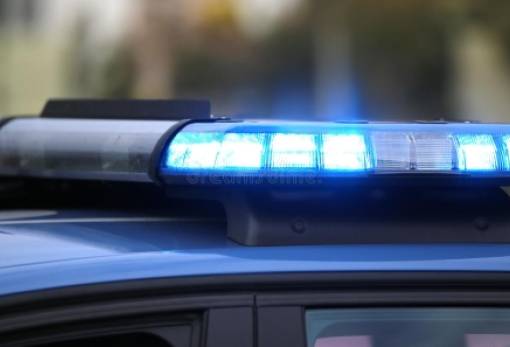 Σύγκρουση περιπολικού της ΕΛΑΣ με αγριογούρουνο στη Λακωνία