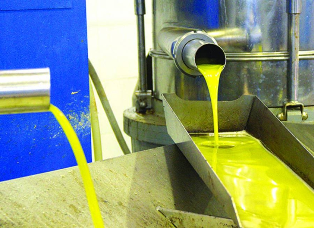 &Mu;έ&chi;&rho;&iota; 8,7 &epsilon;&upsilon;&rho;ώ &tau;&omicron; &epsilon;&lambda;&alpha;&iota;ό&lambda;&alpha;&delta;&omicron;  &sigma;&tau;&eta; &Lambda;&alpha;&kappa;&omega;&nu;ί&alpha;