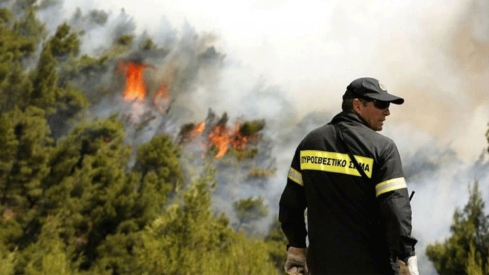&Sigma;&epsilon; &epsilon;&pi;&iota;&phi;&upsilon;&lambda;&alpha;&kappa;ή &gamma;&iota;&alpha; &kappa;ί&nu;&delta;&upsilon;&nu;&omicron; &phi;&omega;&tau;&iota;ά&sigmaf; &omicron; &Delta;. &Sigma;&pi;ά&rho;&tau;&eta;&sigmaf; &kappa;&alpha;&iota; ά&lambda;&lambda;&omicron;&iota; 4 &tau;&eta;&sigmaf; &nu;&omicron;&tau;&iota;&omicron;&alpha;&nu;&alpha;&tau;&omicron;&lambda;&iota;&kappa;ή&sigmaf; &Lambda;&alpha;&kappa;&omega;&nu;ί&alpha;&sigmaf;