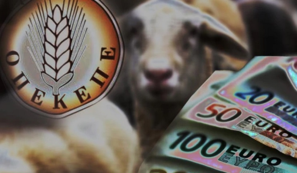 ΕΝΠΕ για αγροτικές ενισχύσεις: «Καμία σχέση των περιφερειών με τις διαδικασίες του ΟΠΕΚΕΠΕ»