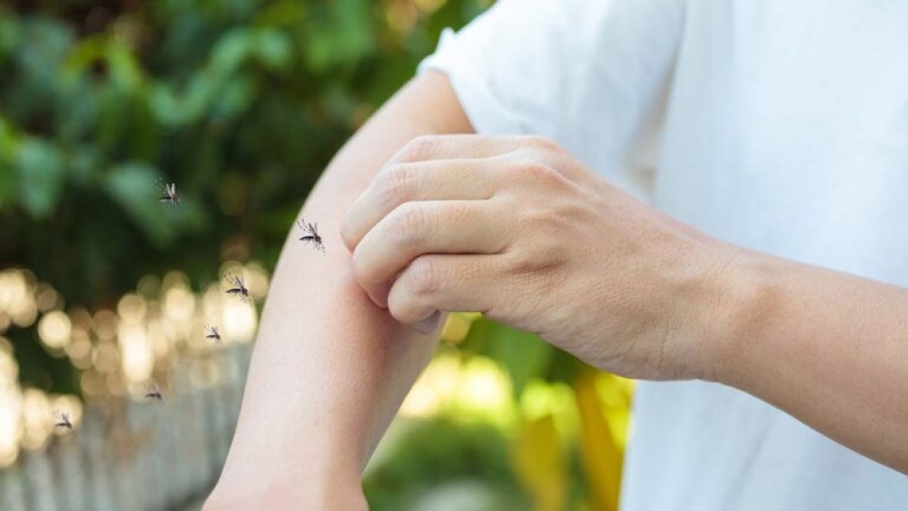 &Epsilon;&Omicron;&Delta;&Upsilon;: &Pi;&rho;&omicron;&phi;&upsilon;&lambda;&alpha;&chi;&theta;&epsilon;ί&tau;&epsilon; &alpha;&pi;ό &tau;&alpha; &kappa;&omicron;&upsilon;&nu;&omicron;ύ&pi;&iota;&alpha; &kappa;&alpha;&iota; &alpha;&pi;ό &tau;&omicron;&nu; &iota;ό &tau;&omicron;&upsilon; &Delta;&upsilon;&tau;&iota;&kappa;&omicron;ύ &Nu;&epsilon;ί&lambda;&omicron;&upsilon;