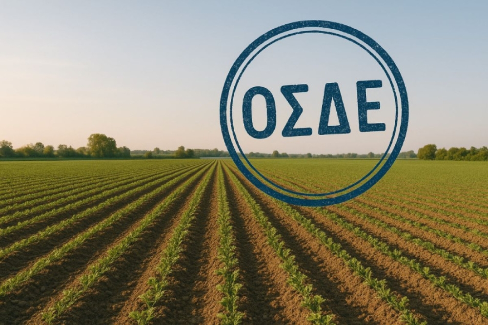 &Pi;&alpha;&rho;ά&tau;&alpha;&sigma;&eta; έ&omega;&sigmaf; 20 &Alpha;&upsilon;&gamma;&omicron;ύ&sigma;&tau;&omicron;&upsilon; &gamma;&iota;&alpha; &tau;&omicron; &Omicron;&Sigma;&Delta;&Epsilon; 2025