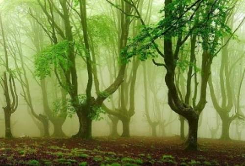 Η πλύστρα και το στοιχειό του Λουκίου