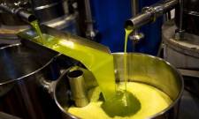 &Rho;&epsilon;&upsilon;&sigma;&tau;ή &eta; &alpha;&gamma;&omicron;&rho;ά &tau;&omicron;&upsilon; &epsilon;&lambda;&alpha;&iota;&omicron;&lambda;ά&delta;&omicron;&upsilon; &sigma;&tau;&eta; &Lambda;&alpha;&kappa;&omega;&nu;ί&alpha;