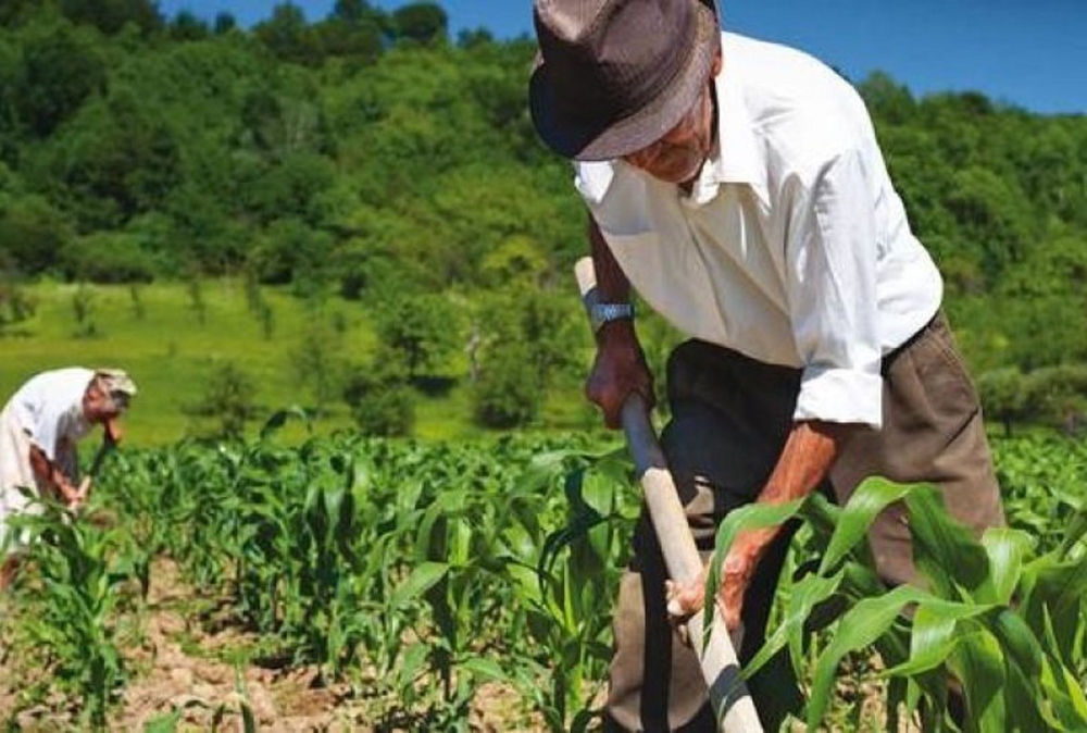 &Omicron; &pi;&omicron;&lambda;&iota;&tau;&iota;&sigma;&mu;ό&sigmaf; &tau;&eta;&sigmaf; &alpha;&gamma;&rho;&omicron;&tau;&omicron;&kappa;&tau;&eta;&nu;&omicron;&tau;&rho;&omicron;&phi;ί&alpha;&sigmaf; &xi;&epsilon;&delta;&iota;&pi;&lambda;ώ&nu;&epsilon;&tau;&alpha;&iota; &sigma;&tau;&omicron;&nu; &Delta;. &Epsilon;&upsilon;&rho;ώ&tau;&alpha;