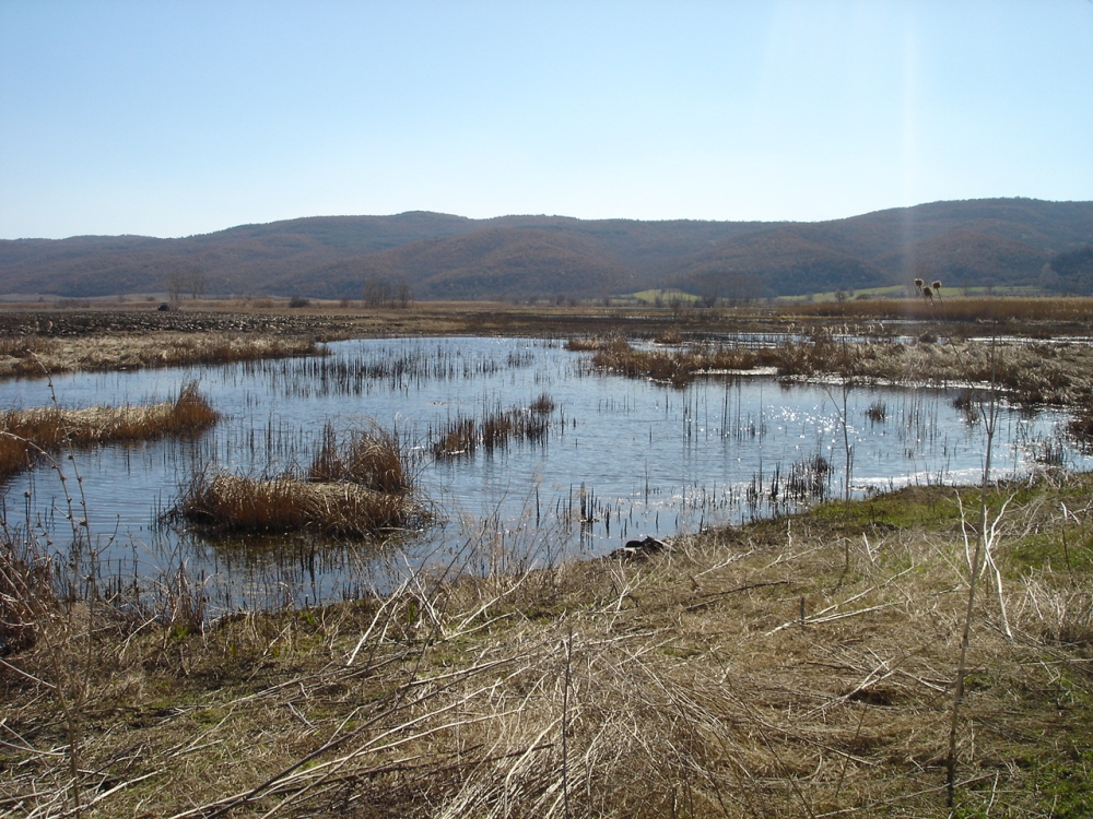 &Tau;&omicron; &pi;&iota;&omicron; &phi;&omicron;&nu;&iota;&kappa;ό &zeta;ώ&omicron; &sigma;&tau;&omicron;&nu; &kappa;ό&sigma;&mu;&omicron; &zeta;&epsilon;&iota; &delta;ί&pi;&lambda;&alpha; &mu;&alpha;&sigmaf; -&kappa;&alpha;&iota; &mu;&alpha;&sigmaf; έ&chi;&epsilon;&iota; ή&delta;&eta; &tau;&sigma;&iota;&mu;&pi;ή&sigma;&epsilon;&iota;