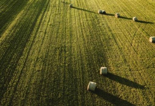 ΕΕ: Στα 524 δισ. ευρώ η γεωργική παραγωγή το 2022