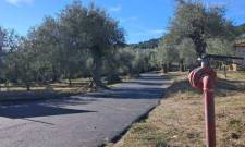 &Alpha;&sigma;&phi;&alpha;&lambda;&tau;&omicron;&sigma;&tau;&rho;ώ&theta;&eta;&kappa;&epsilon; &omicron; &delta;&rho;ό&mu;&omicron;&sigmaf; &pi;&rho;&omicron;&sigmaf; &tau;&iota;&sigmaf; &pi;&eta;&gamma;έ&sigmaf; &Tau;&rho;ύ&pi;&eta;&sigmaf;