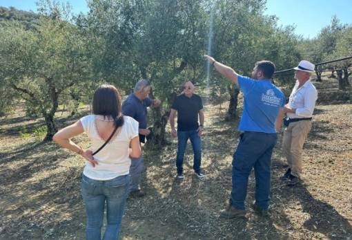 Άρχισε η καταγραφή ζημιών από το χαλάζι στις περιοχές του Δ. Μονεμβασίας