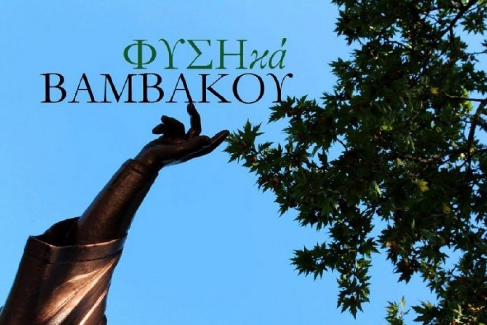 9ο Φεστιβάλ Γαστρονομίας και Καρυδιού στη Βαμβακού