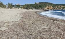 &Tau;&omicron; &delta;&iota;&kappa;ό &sigma;&alpha;&sigmaf; &sigma;&chi;ό&lambda;&iota;&omicron;: &laquo;&Gamma;&alpha;&lambda;ά&zeta;&iota;&alpha; &Sigma;&eta;&mu;&alpha;ί&alpha;&raquo; &alpha;&nu;&epsilon;&mu;ί&zeta;&epsilon;&iota; &pi;ά&nu;&omega; &alpha;&pi;ό&hellip; &kappa;&eta;&lambda;ί&delta;&epsilon;&sigmaf; &sigma;&tau;&alpha; &Tau;&eta;&gamma;ά&nu;&iota;&alpha;;