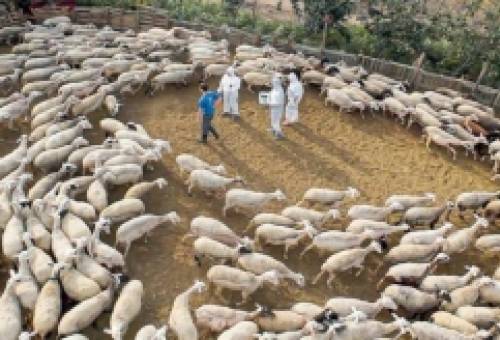 Ανησυχία για τις επιπτώσεις της ευλογιάς και τα νέα μέτρα