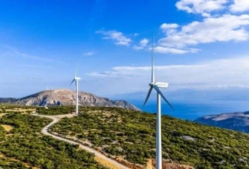Πράσινο ρεύμα με κανόνες ή «ηλεκτροσόκ» για τα δάση;
