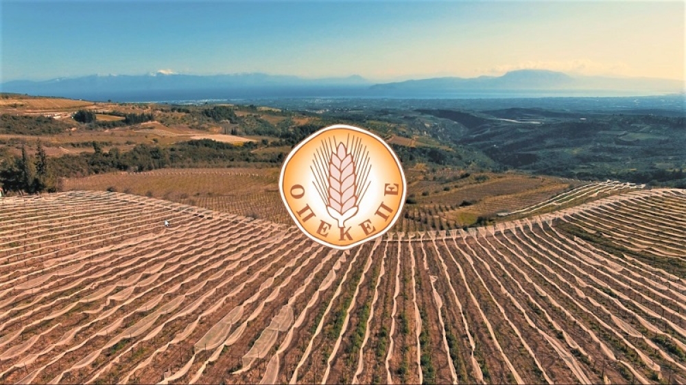 &Omicron;&Pi;&Epsilon;&Kappa;&Epsilon;&Pi;&Epsilon;: &Kappa;&alpha;&tau;&alpha;&chi;ώ&rho;&eta;&sigma;&eta; &pi;&omicron;&sigma;&omicron;&tau;ή&tau;&omega;&nu; &sigma;&tau;&iota;&sigmaf; &sigma;&upsilon;&nu;&delta;&epsilon;&delta;&epsilon;&mu;έ&nu;&epsilon;&sigmaf; &epsilon;&nu;&iota;&sigma;&chi;ύ&sigma;&epsilon;&iota;&sigmaf; 2023