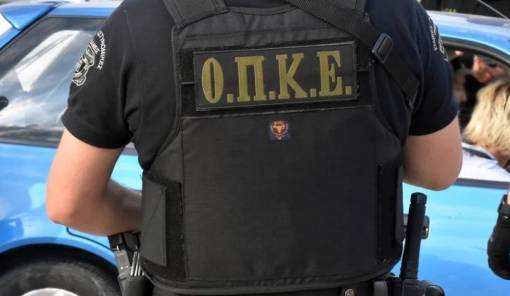 &laquo;&Phi;ύ&lambda;&lambda;&omicron; &kappa;&alpha;&iota; &phi;&tau;&epsilon;&rho;ό&raquo; &xi;&alpha;&nu;ά &eta; &Pi;&epsilon;&lambda;&omicron;&pi;ό&nu;&nu;&eta;&sigma;&omicron;&sigmaf; &alpha;&pi;ό &tau;&eta;&nu; &Epsilon;&Lambda;&Alpha;&Sigma;