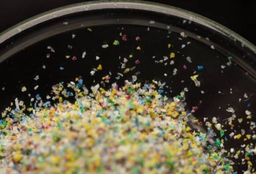 Ποσότητα μικροπλαστικών ισοδύναμη με ένα ολόκληρο πλαστικό κουτάλι βρέθηκε στον ανθρώπινο εγκέφαλο