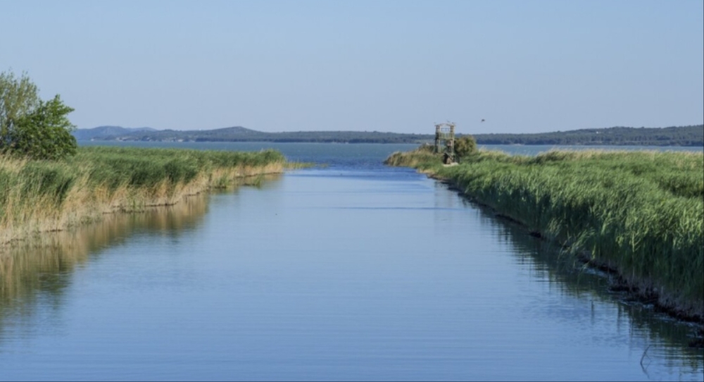 &Epsilon;&gamma;&gamma;&epsilon;&iota;&omicron;&beta;&epsilon;&lambda;&tau;&iota;&omega;&tau;&iota;&kappa;ά έ&rho;&gamma;&alpha;: 124 &epsilon;&kappa;&alpha;&tau;. &epsilon;&upsilon;&rho;ώ &gamma;&iota;&alpha; &tau;&eta;&nu; &epsilon;&nu;ί&sigma;&chi;&upsilon;&sigma;&eta; &tau;&eta;&sigmaf; &alpha;&gamma;&rho;&omicron;&tau;&iota;&kappa;ή&sigmaf; &pi;&alpha;&rho;&alpha;&gamma;&omega;&gamma;ή&sigmaf;