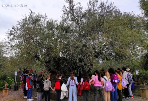 Στα μνημεία της Απιδέας ξεναγήθηκε  το 2ο Δημοτικό Σχολείο Σκάλας