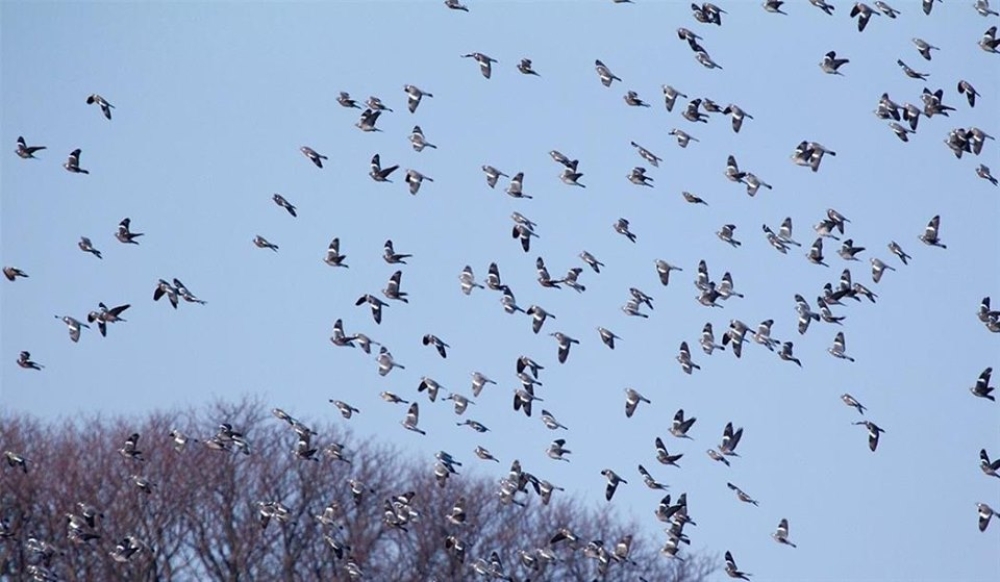 &Alpha;&pi;&omicron;&delta;&eta;&mu;&eta;&tau;&iota;&kappa;ά &epsilon;ί&delta;&eta;: Έ&nu;&alpha; &sigma;&tau;&alpha; &pi;έ&nu;&tau;&epsilon; &kappa;&iota;&nu;&delta;&upsilon;&nu;&epsilon;ύ&epsilon;&iota; &mu;&epsilon; &epsilon;&xi;&alpha;&phi;ά&nu;&iota;&sigma;&eta;