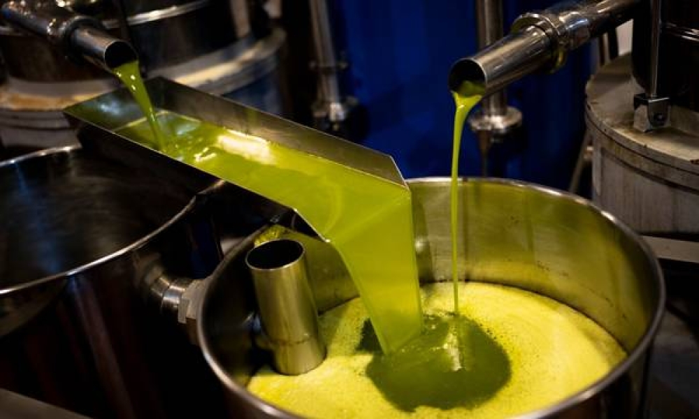 &Epsilon;&lambda;&alpha;&iota;ό&lambda;&alpha;&delta;&omicron;: &Mu;&epsilon;ί&omega;&sigma;&eta; 32% &sigma;&tau;&eta;&nu; &pi;&alpha;&rho;&alpha;&gamma;&omega;&gamma;ή &tau;&eta;&sigmaf; &Iota;&tau;&alpha;&lambda;ί&alpha;&sigmaf;