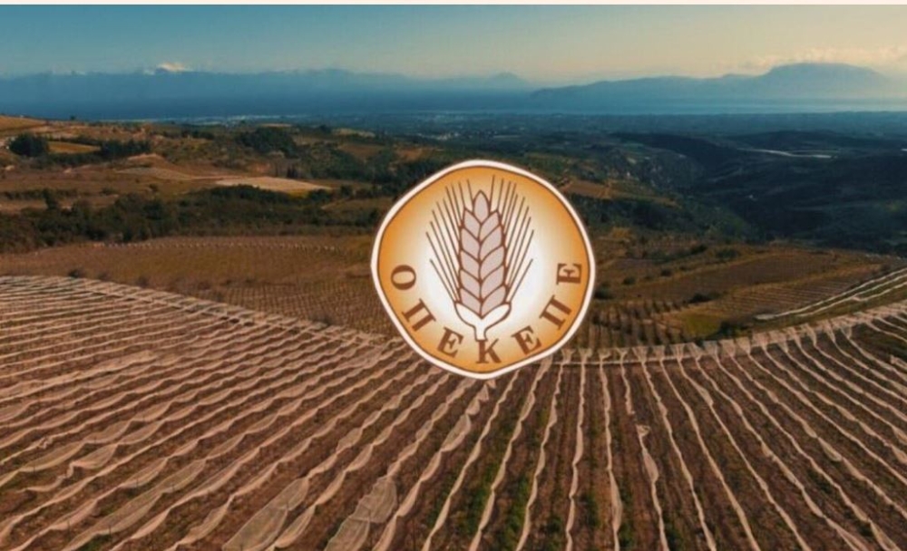 &Omicron;&Pi;&Epsilon;&Kappa;&Epsilon;&Pi;&Epsilon;: &Pi;ό&tau;&epsilon; &theta;&alpha; &pi;&iota;&sigma;&tau;&omega;&theta;&omicron;ύ&nu; &tau;&alpha; &chi;&rho;ή&mu;&alpha;&tau;&alpha; &sigma;&tau;&omicron;&upsilon;&sigmaf; &delta;&iota;&kappa;&alpha;&iota;&omicron;ύ&chi;&omicron;&upsilon;&sigmaf; &gamma;&iota;&alpha; &phi;&upsilon;&tau;&iota;&kappa;ή &kappa;&alpha;&iota; &zeta;&omega;&iota;&kappa;ή &pi;&alpha;&rho;&alpha;&gamma;&omega;&gamma;ή