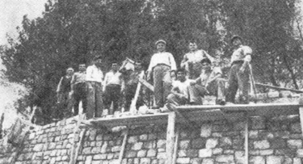 Άνθη της πέτρας