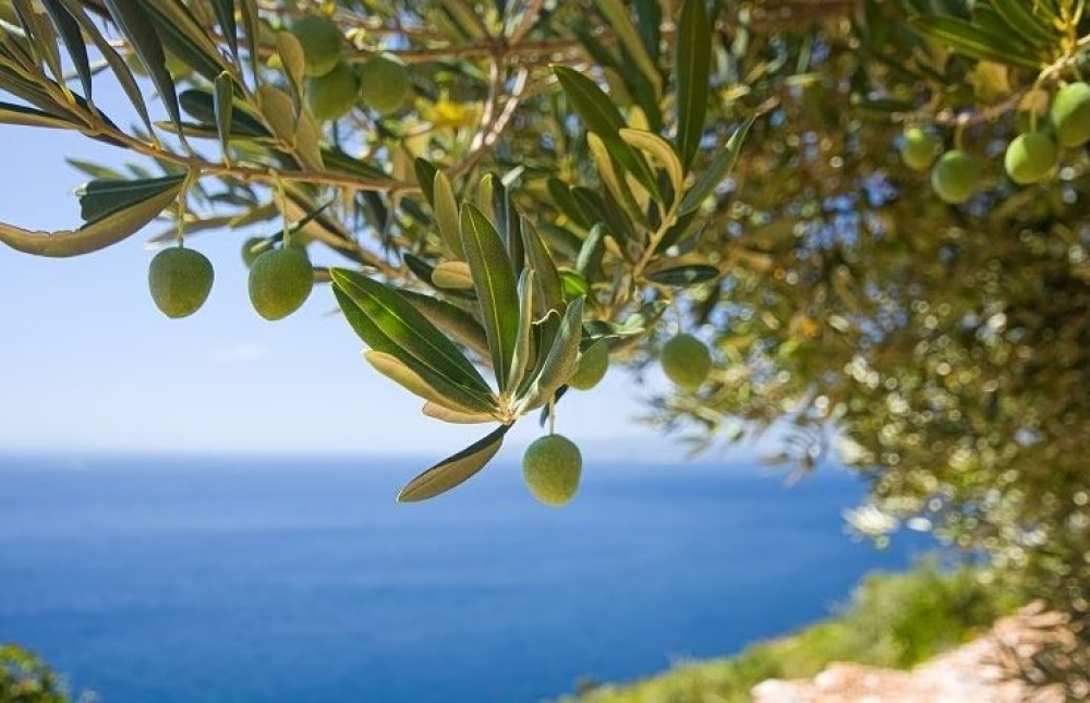 &Eta; &laquo;&kappa;&iota;&beta;&omega;&tau;ό&sigmaf;&raquo; &tau;&eta;&sigmaf; &epsilon;&lambda;&iota;ά&sigmaf; &chi;&tau;ί&zeta;&epsilon;&iota; ά&mu;&upsilon;&nu;&alpha; &alpha;&pi;έ&nu;&alpha;&nu;&tau;&iota; &sigma;&tau;&eta;&nu; &kappa;&lambda;&iota;&mu;&alpha;&tau;&iota;&kappa;ή &alpha;&lambda;&lambda;&alpha;&gamma;ή