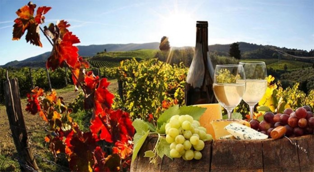 &Chi;&rho;&eta;&mu;&alpha;&tau;&omicron;&delta;&omicron;&tau;ή&sigma;&epsilon;&iota;&sigmaf; &kappa;&alpha;&iota; &delta;&rho;ά&sigma;&epsilon;&iota;&sigmaf; &gamma;&iota;&alpha; &alpha;&nu;ά&pi;&tau;&upsilon;&xi;&eta; &tau;&omicron;&upsilon; &omicron;&iota;&nu;&omicron;&tau;&omicron;&upsilon;&rho;&iota;&sigma;&mu;&omicron;ύ &sigma;&tau;&eta;&nu; &Pi;&epsilon;&lambda;&omicron;&pi;ό&nu;&nu;&eta;&sigma;&omicron;