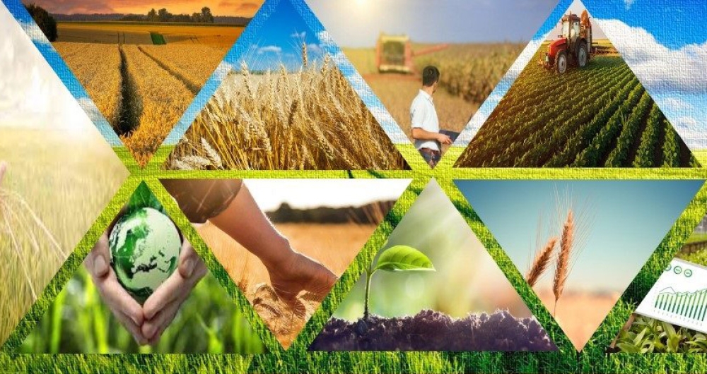 &Tau;&alpha; LEADER &sigma;&tau;&eta;&rho;ί&zeta;&omicron;&upsilon;&nu; &tau;&eta;&nu; &omicron;&iota;&kappa;&omicron;&nu;&omicron;&mu;ί&alpha; &alpha;&gamma;&rho;&omicron;&tau;&iota;&kappa;ώ&nu; &kappa;&alpha;&iota; &mu;&epsilon;&iota;&omicron;&nu;&epsilon;&kappa;&tau;&iota;&kappa;ώ&nu; &pi;&epsilon;&rho;&iota;&omicron;&chi;ώ&nu; &lambda;έ&epsilon;&iota; &eta; &Epsilon;&Epsilon;