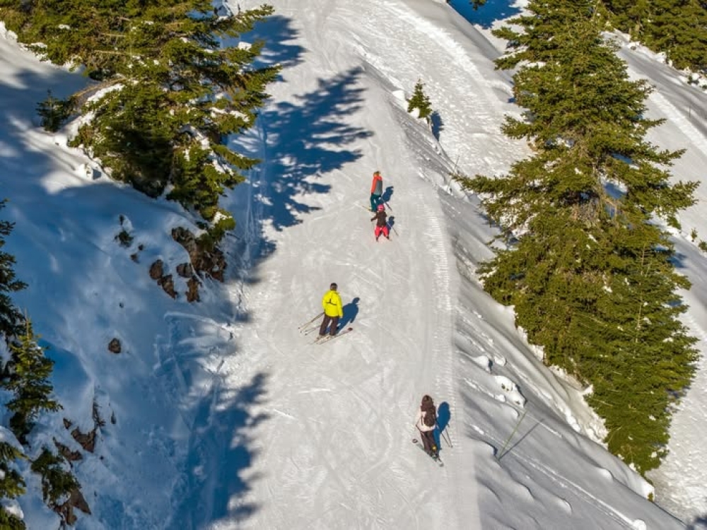 &Tau;&omicron; &Mu;&alpha;ί&nu;&alpha;&lambda;&omicron; &xi;&alpha;&nu;&alpha;&zeta;&omega;&nu;&tau;&alpha;&nu;&epsilon;ύ&epsilon;&iota; &mu;&epsilon; &chi;&iota;ό&nu;&iota; &kappa;&alpha;&iota; &pi;ί&sigma;&tau;&epsilon;&sigmaf; έ&tau;&omicron;&iota;&mu;&epsilon;&sigmaf; &gamma;&iota;&alpha; &delta;&rho;ά&sigma;&eta;