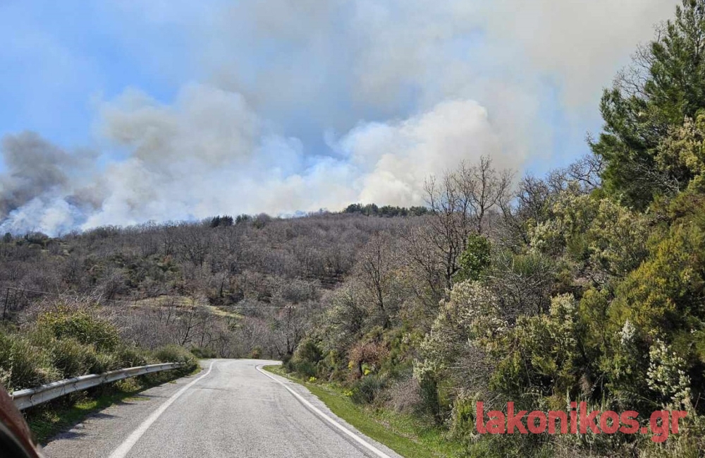 Καλύτερη η εικόνα στη φωτιά του Ταϋγέτου