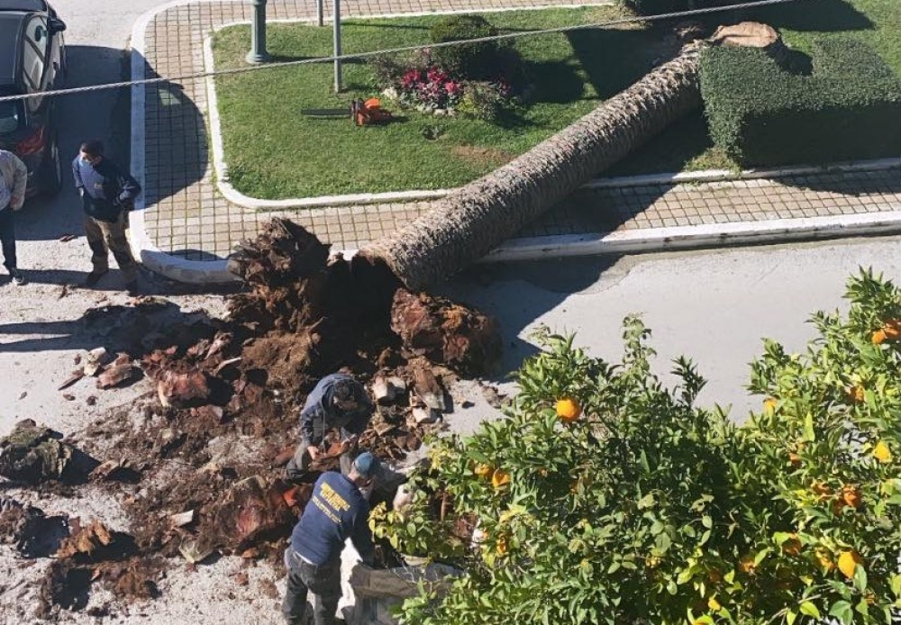 Η αρχή του τέλους για τους φοίνικες της Σπάρτης (ΦΩΤΟ)