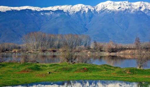 &Delta;&Epsilon;&Epsilon;: &laquo;&Phi;&rho;έ&nu;&omicron;&raquo; &sigma;&epsilon; έ&rho;&gamma;&alpha; &sigma;&tau;&iota;&sigmaf; &pi;&epsilon;&rho;&iota;&omicron;&chi;έ&sigmaf; Natura &chi;&omega;&rho;ί&sigmaf; &sigma;&tau;ό&chi;&omicron;&upsilon;&sigmaf; &pi;&rho;&omicron;&sigma;&tau;&alpha;&sigma;ί&alpha;&sigmaf;