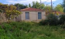 &Tau;&omicron; &delta;&iota;&kappa;ό &sigma;&alpha;&sigmaf; &sigma;&chi;ό&lambda;&iota;&omicron;: &Sigma;&pi;ί&tau;&iota; &sigma;&tau;&omicron;&nu; &lambda;ό&phi;&omicron;: &Alpha;&rho;&chi;&iota;&delta;ά&mu;&omicron;&upsilon; 51, &Sigma;&pi;ά&rho;&tau;&eta;