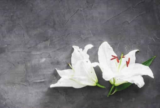 Απρίλιος: Ο μήνας που «λυγίζει» τους δημάρχους της Σπάρτης